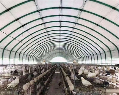 天津泰福包塑管養(yǎng)殖大棚的法律風險與合規(guī)建議