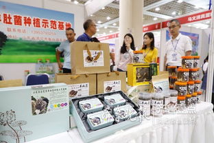 魚臺79家企業(yè)亮相省城，生態(tài)農(nóng)產(chǎn)品與保潔服務雙星閃耀